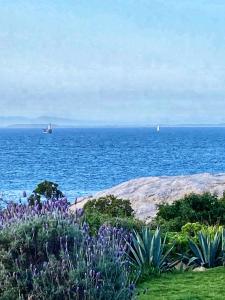 a view of the ocean with two boats in the water at Bosky Dell on Boulders Beach in Simonʼs Town