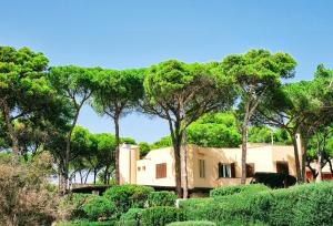 a house in the middle of a forest of trees at Villa Fernanda in Santa Margherita di Pula