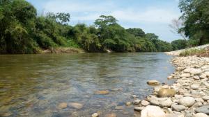 a river with rocks and trees in the background at La Playita in Guachaca