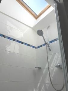 a shower in a bathroom with a skylight at Old Bake House Cottage @ Cwm Mill in Michaelchurch Escley