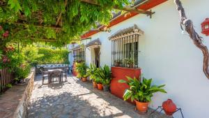 a patio with a table and chairs and plants at Villa Andrea Cortes de la Frontera by Ruralidays in Cortes de la Frontera