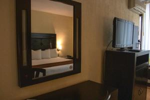 TV a/nebo společenská místnost v ubytování Hotel Santa Irene Guadalajara
