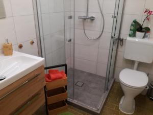 Kúpeľňa v ubytovaní Berghütte Reissnerhof + 20 fotografií