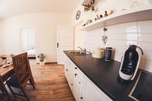 Kuchyň nebo kuchyňský kout v ubytování Stylový apartmán v centru Náchoda