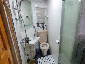 La petite salle de bains est pourvue de toilettes et d'un lavabo. dans l'établissement Apartments Panda, à Vlašić