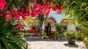 Vonkajšia záhrada v ubytovaní Casa Los Cactus El Gastor by Ruralidays