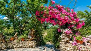 Vonkajšia záhrada v ubytovaní Casa Los Cactus El Gastor by Ruralidays