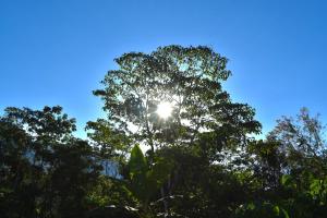 Galeriebild der Unterkunft Bosque Guardian Lodge in Tarapoto