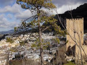 a view of a city from a hill with a tree at San Antón in Cazorla