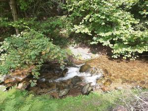 Fotografia z galérie ubytovania Leśna Struga v destinácii Stronie Śląskie