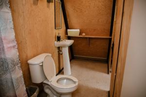 a small bathroom with a toilet and a sink at Glamping Nool in Río Blanco