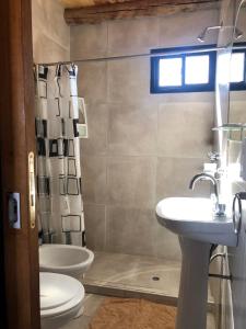 a bathroom with a sink and a toilet and a shower at Solanas de Uspallata in Uspallata