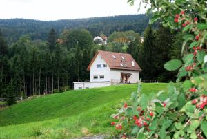 Gallery image of Chalet Ur-Gmiatli in Grafendorf bei Hartberg