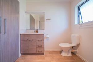 a bathroom with a toilet and a sink and a mirror at Hosts on the Coast Cosy on Cath in Whitianga +17 photos