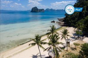 een strand met palmbomen en een bord waarop staat zee plus bij Thanya Beach Resort - SHA Plus in Ko Ngai