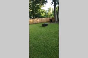 a lawn before and after being fertilized at Southern Charm Vacation Rental in Savannah