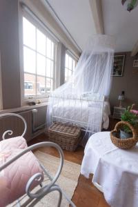 a bedroom with a bed with a mosquito net at BenB FirstClassEnglish in Dordrecht