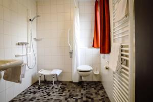 ein kleines Badezimmer mit Toilette und Dusche in der Unterkunft St. Bonifatius in Winterberg