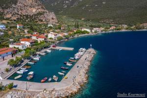 an aerial view of a harbor with boats in the water at Amaryllis Holiday Home in Agios Spiridon Fokidas