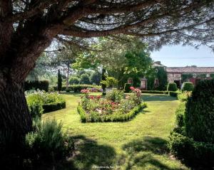 a garden with bushes and flowers in a yard at Maison charmante à Landevieille avec jardin clos in Landevieille