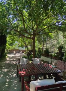 een houten tafel en stoelen onder een boom bij 5 bedrooms villa with private pool enclosed garden and wifi at Sorihuela del Guadalimar in Sorihuela del Guadalimar