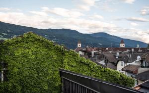 un toit recouvert de lierre d'une ville avec des montagnes en arrière-plan dans l'établissement Brixen City Maisonette, à Bressanone
