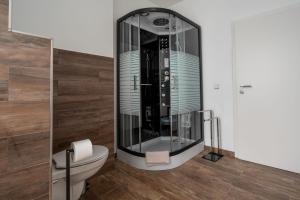 a glass shower in a bathroom with a toilet at Little Suite in Halle an der Saale
