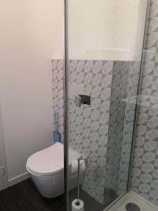 een badkamer met een toilet en een douche bij L'imprimerie, charmant pied à terre, tout confort in Rennes