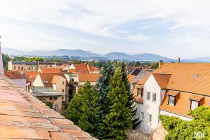 Afbeelding uit fotogalerij van Hotel Sonne in Zittau