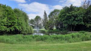 un estanque en un parque con árboles y césped en La Gustine, en Descartes