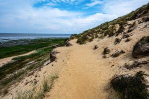 un camino de tierra que conduce al océano en una playa en Strandiris, en Wenningstedt