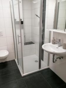 a bathroom with a shower and a sink at Modernes Apartment im Herzen von Würzburg in Würzburg