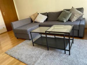 a living room with a gray couch and a table at Modernes Apartment im Herzen von Würzburg in Würzburg
