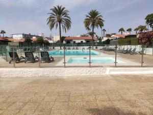 - une piscine avec des chaises et des palmiers dans un complexe dans l'établissement Prívate bungalow a 200 meters to Yumbo center, à Maspalomas