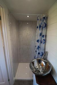 uma casa de banho com um lavatório e um chuveiro em Maid Marian's Lodge, Nottinghamshire em East Bridgford
