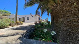 a house with a palm tree and a stone wall at Casa Los Altos in Vallehermoso