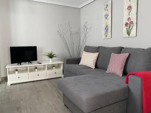 a living room with a gray couch and a tv at Las tres Luces Casa 2 in Picones