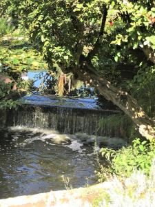 um riacho de água com uma árvore e uma cascata em El Real De El Campanario em Estepona