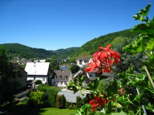 a red flower in front of a town with mountains at Ferienwohnung Burgblick in Bullay