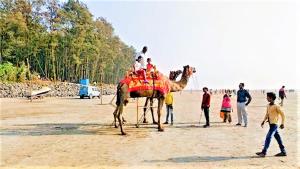 a group of people riding on a camel on the beach at Alibaug Castle in Alibaug