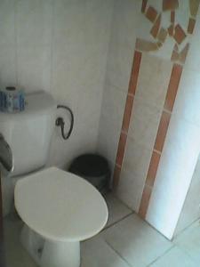 a small bathroom with a toilet and a shower at CIMA-pre nenáročných in Podhájska +6 photos