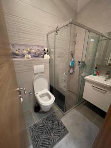 a bathroom with a toilet and a glass shower at Bjelasnica White apartmani in Bjelašnica +20 photos