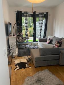 Billede fra billedgalleriet på Bjelasnica White apartmani i Bjelašnica + 20 billeder