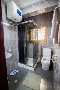 een badkamer met een douche en een toilet bij Residence Le Bonheur - 2 Bed Apartment by Douala Mall/Airport in Douala