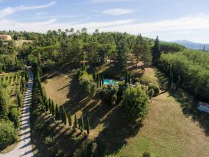 una vista aérea de un complejo con árboles y una piscina en Monteaperto, en Barberino di Mugello