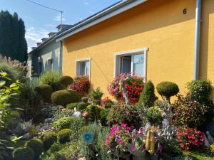 a garden of flowers and plants in front of a house at Ubytovanie Dana in Piešťany