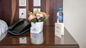 Fotografie z fotogalerie ubytování Imperla Hotel v destinaci Isla Mujeres