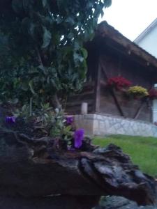a garden with purple flowers in front of a house at Djurdja Apartment in Arandjelovac