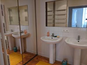 Baño con 2 lavabos y espejo en Logis de la Grande Rue, appt cœur de ville, spacieux, lumineux, parquet 3 chbres, - 6 pers, en La Flèche