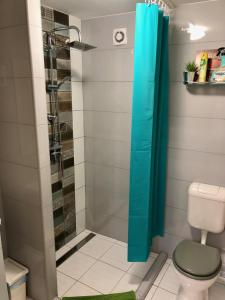 y baño con aseo y ducha. en Buda Boutique Apartment en Budapest